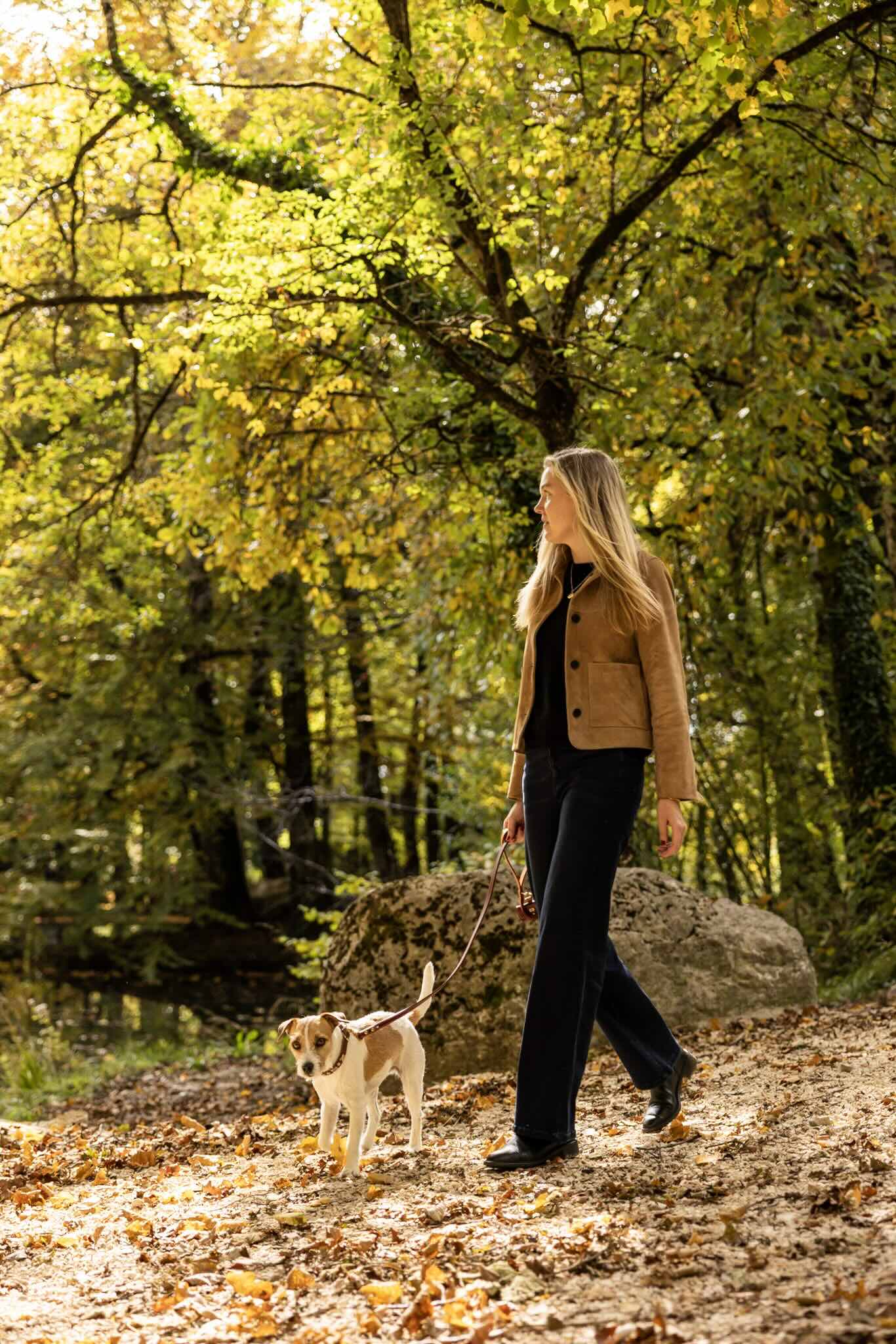 Hundliv för själen - därför är hundar rena lyckoboosten