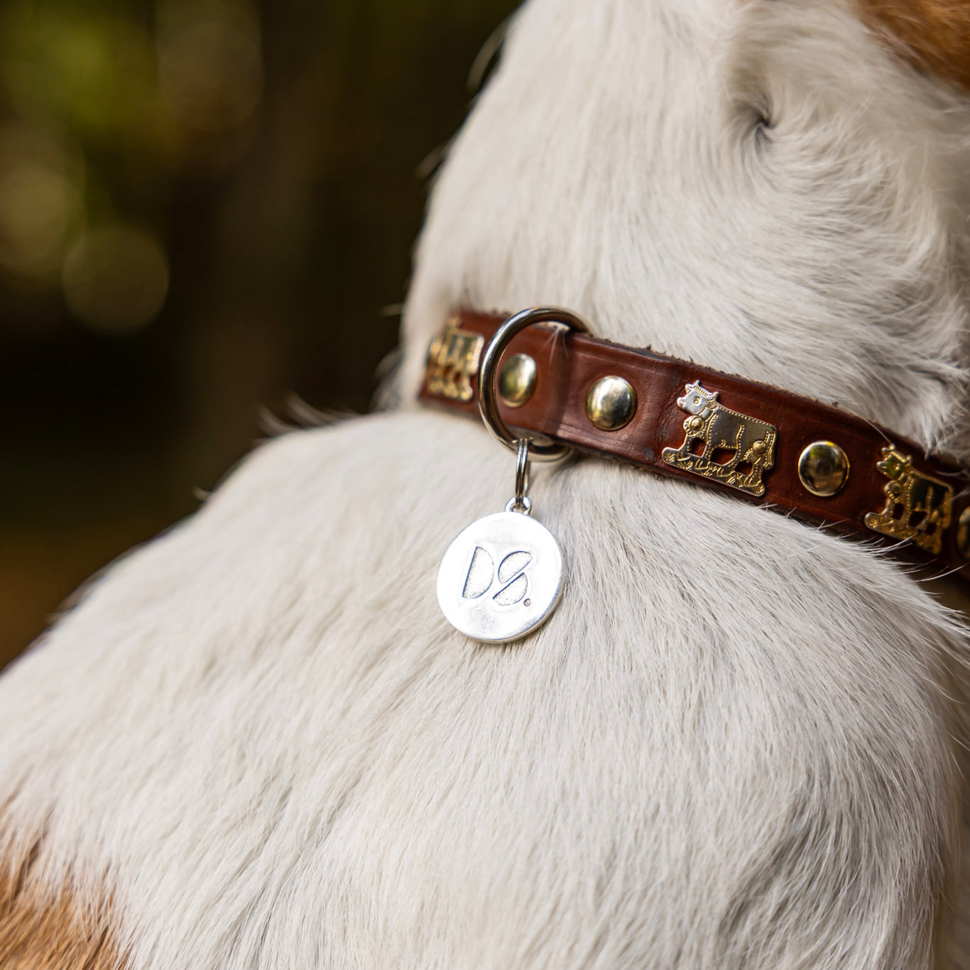 Dogpendant1_170d8875-b474-4875-b227-a7a3e2967f31.jpg