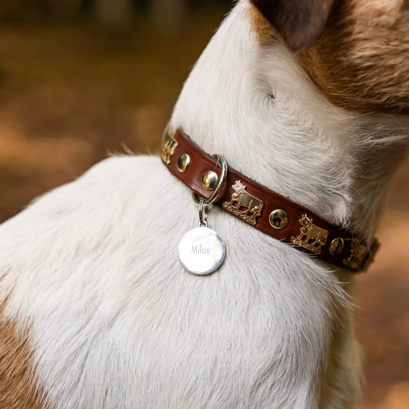 Dogpendant4.jpg